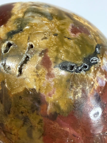 Petrified Wood Crystal Skull – 357g | 7 × 8 cm B