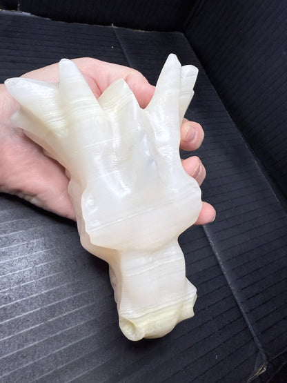 Afghan Jade Dragon Head | 835g