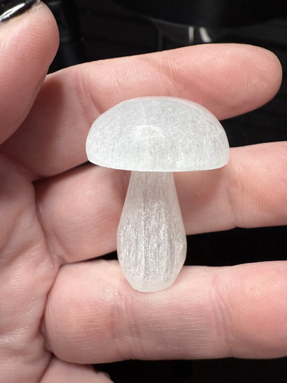 Selenite Mushroom