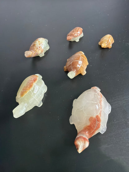 Brown Banded Calcite Turtle Family Carving – Set of 6