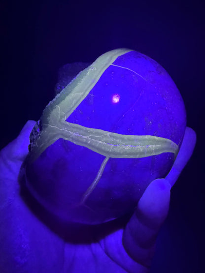 Septarian “Dino Egg” (1kg) – UV Reactive