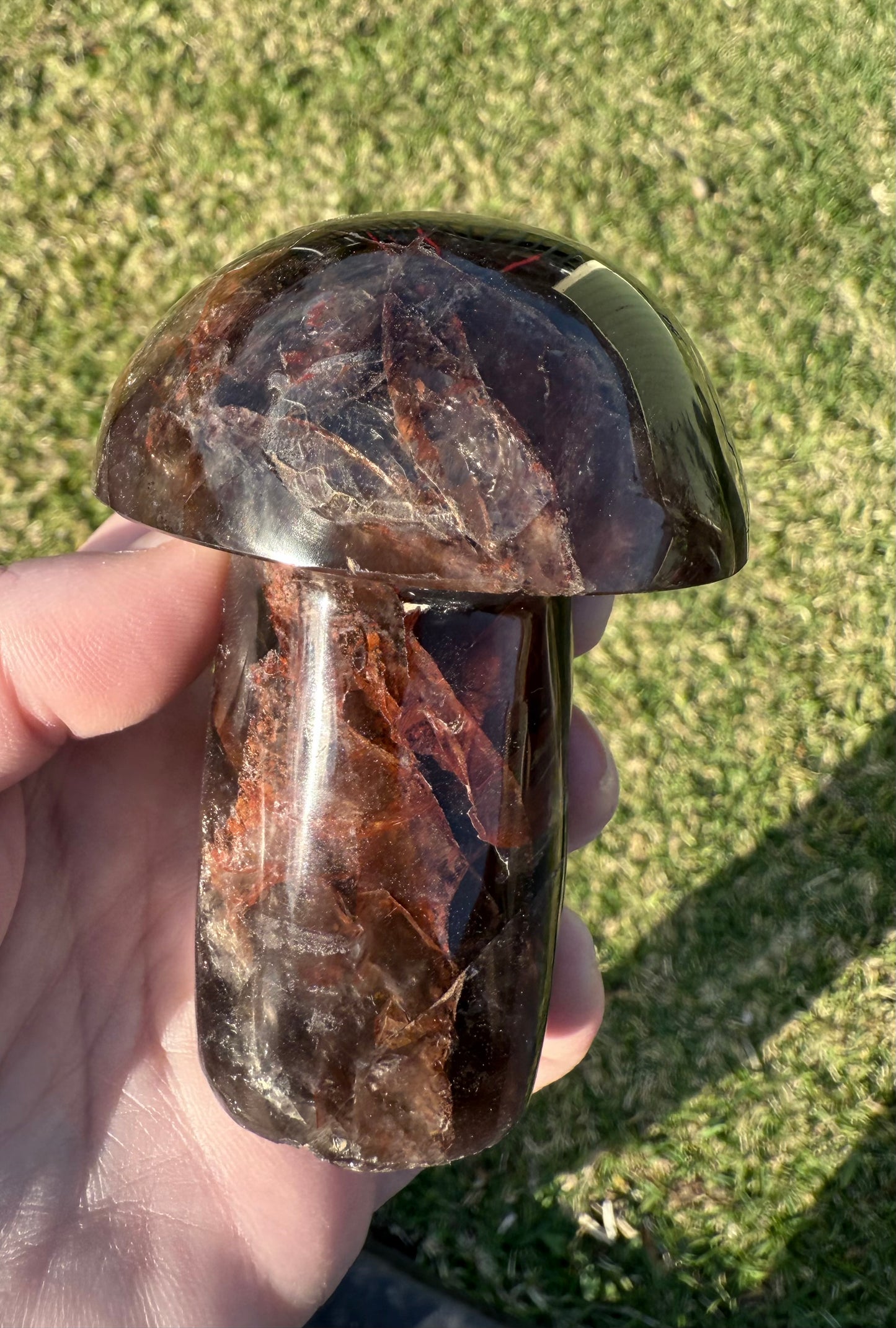 Red Fire Quartz in Smoky Quartz Mushroom