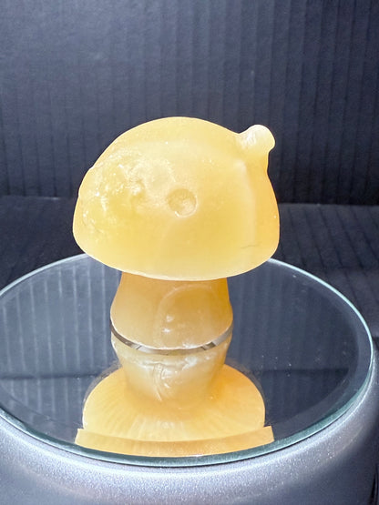 Calcite Fairy House Mushroom