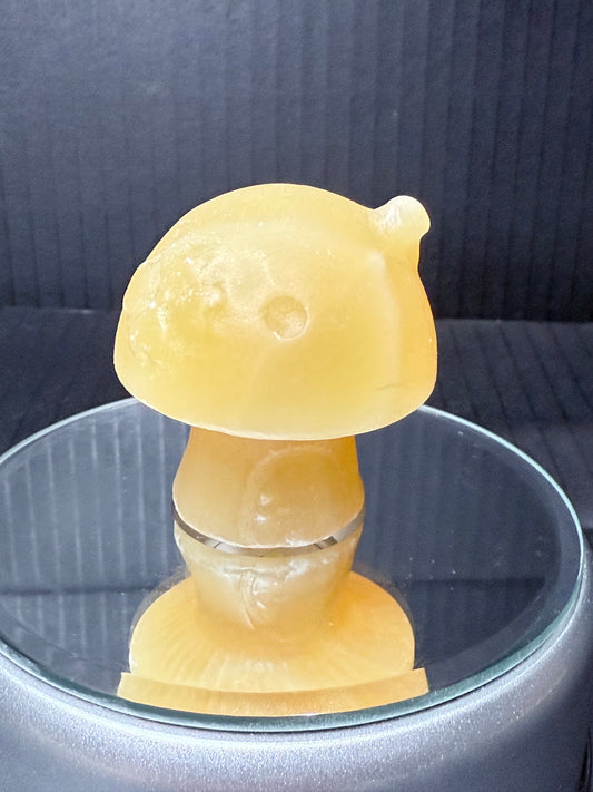 Calcite Fairy House Mushroom