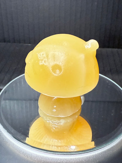 Calcite Fairy House Mushroom