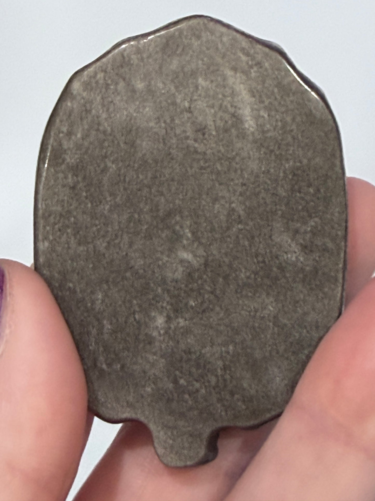 Silver Sheen Obsidian Lion Head Carving – 6.5cm