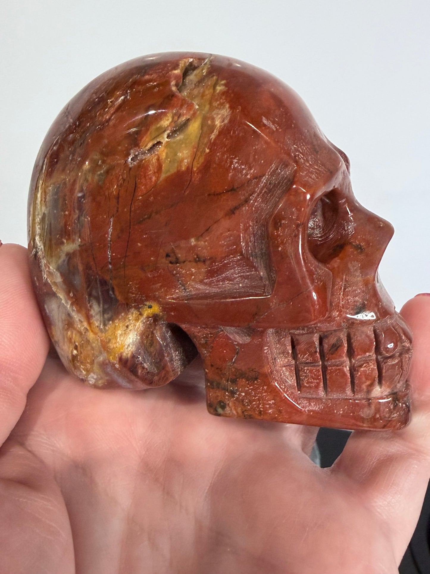 Petrified Wood Skull Crystal Carving – 364g (7 × 8 cm) A