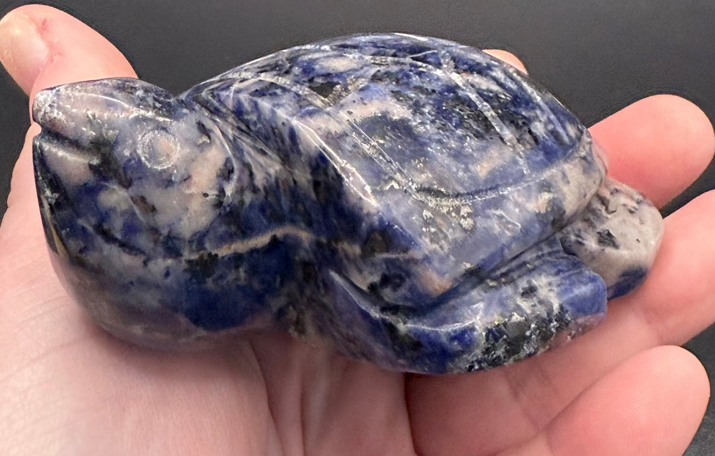 Sodalite Turtle Carving – 275g | 9.8 × 7.1cm