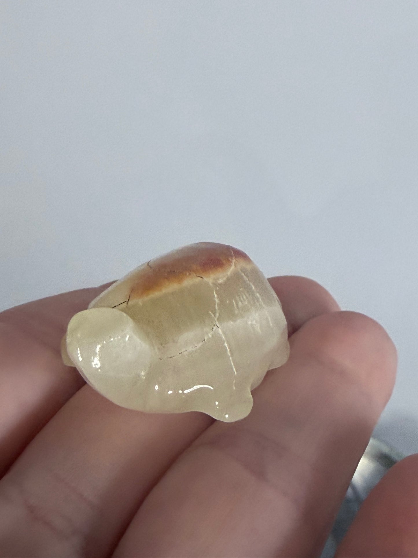 Brown Banded Calcite Turtle Family Carving – Set of 6