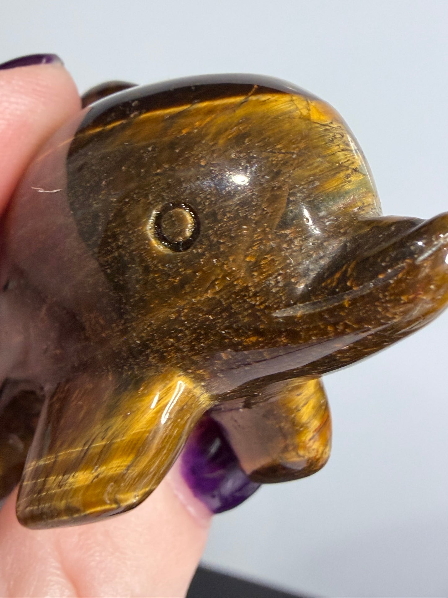 Tiger’s Eye Dolphin Carving