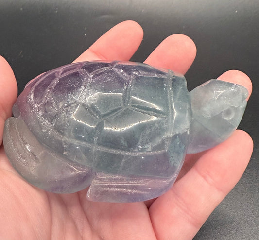 Aqua Fluorite Turtle Carving – 230g | 8.5 × 6.5cm