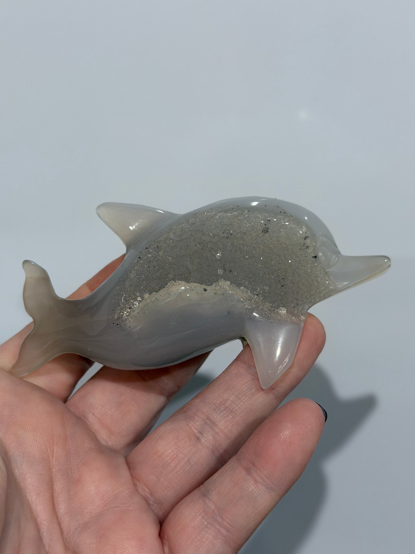 Agate Dolphin with Natural Druzy