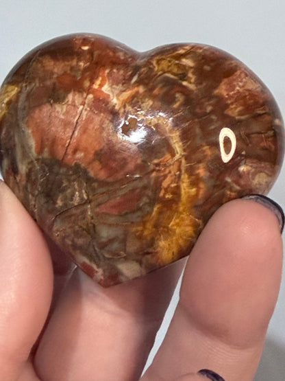Petrified Wood Heart 🤎 A