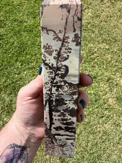 Picture Jasper with Dendritic Inclusions