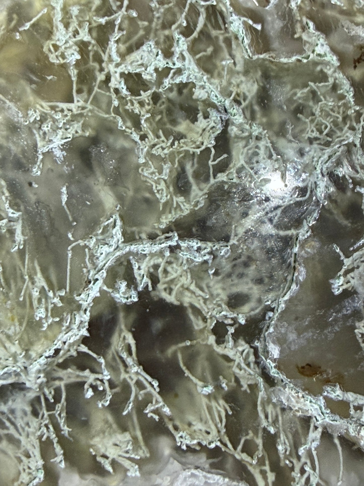 Natural Moss Agate Heart – Landscape Agate Crystal Heart | 5.7 x 5.2 cm | 65g B