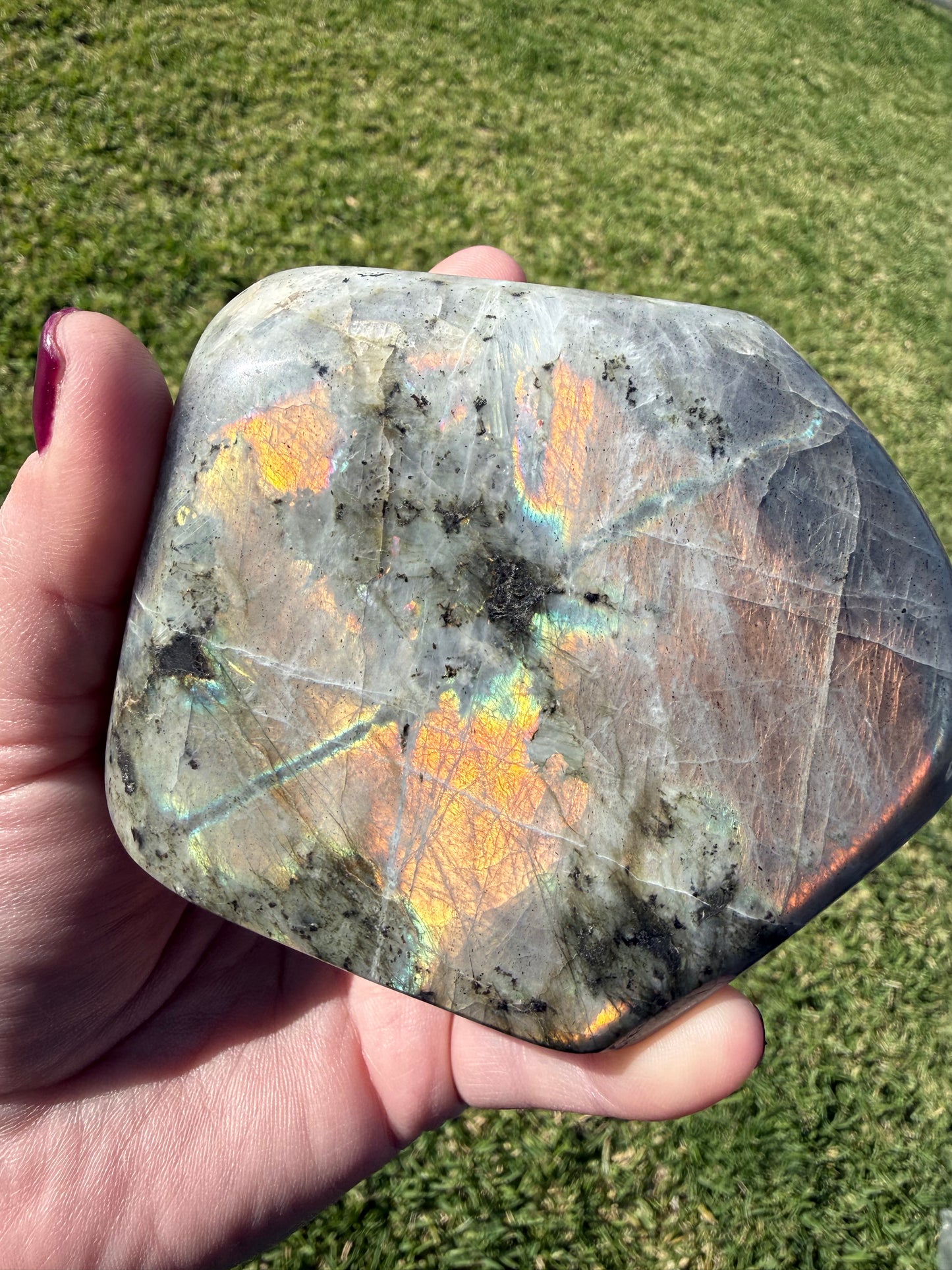 Labradorite Freeform Stunning Flash