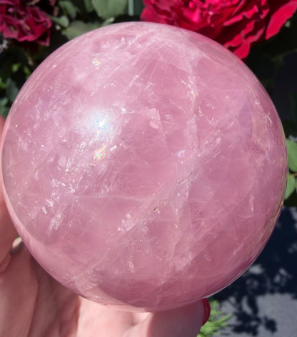 Madagascar Star Rose Quartz Sphere with Stand – 8.1 cm | 750 g