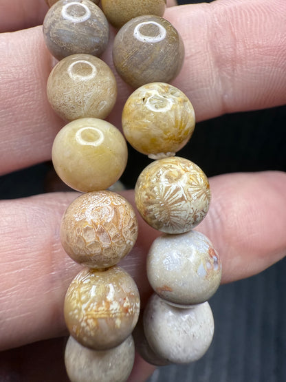 Fossil Coral Bracelet 8mm