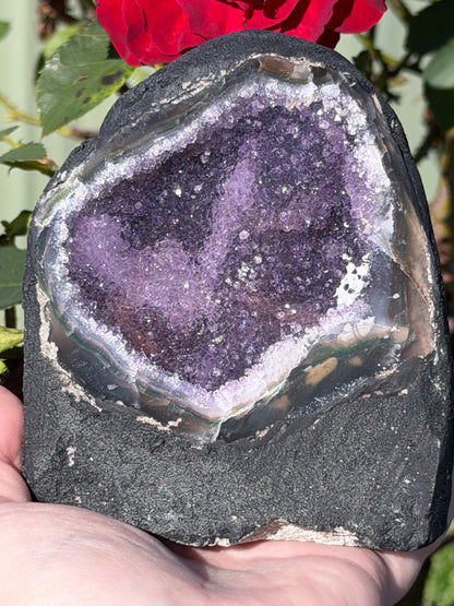 Brazilian Amethyst Druzy Cave Geode – 954g F