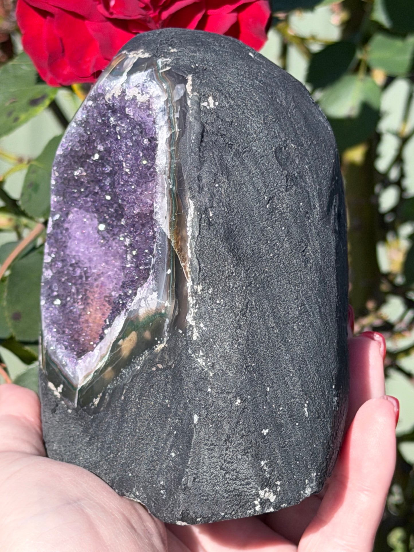 Brazilian Amethyst Druzy Cave Geode – 954g F