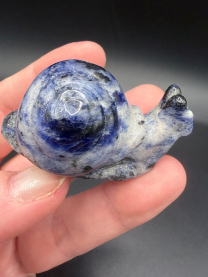 Sodalite Snail Carving – 5cm