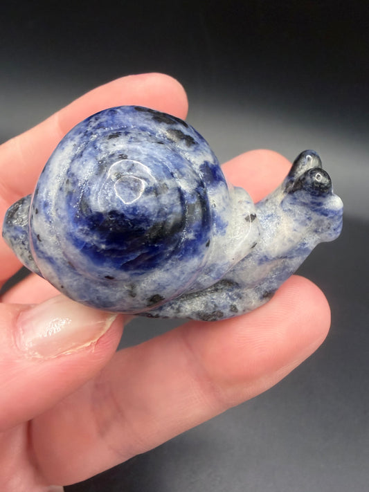 Sodalite Snail Carving – 5cm