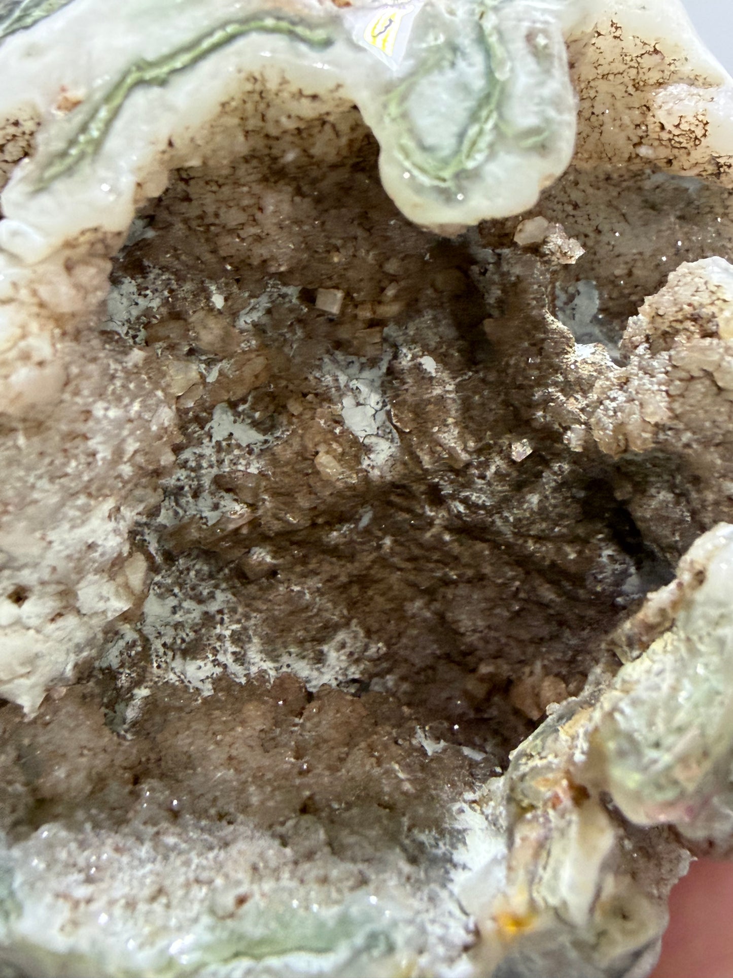 Moss Agate Druzy Skull – 8cm 277g
