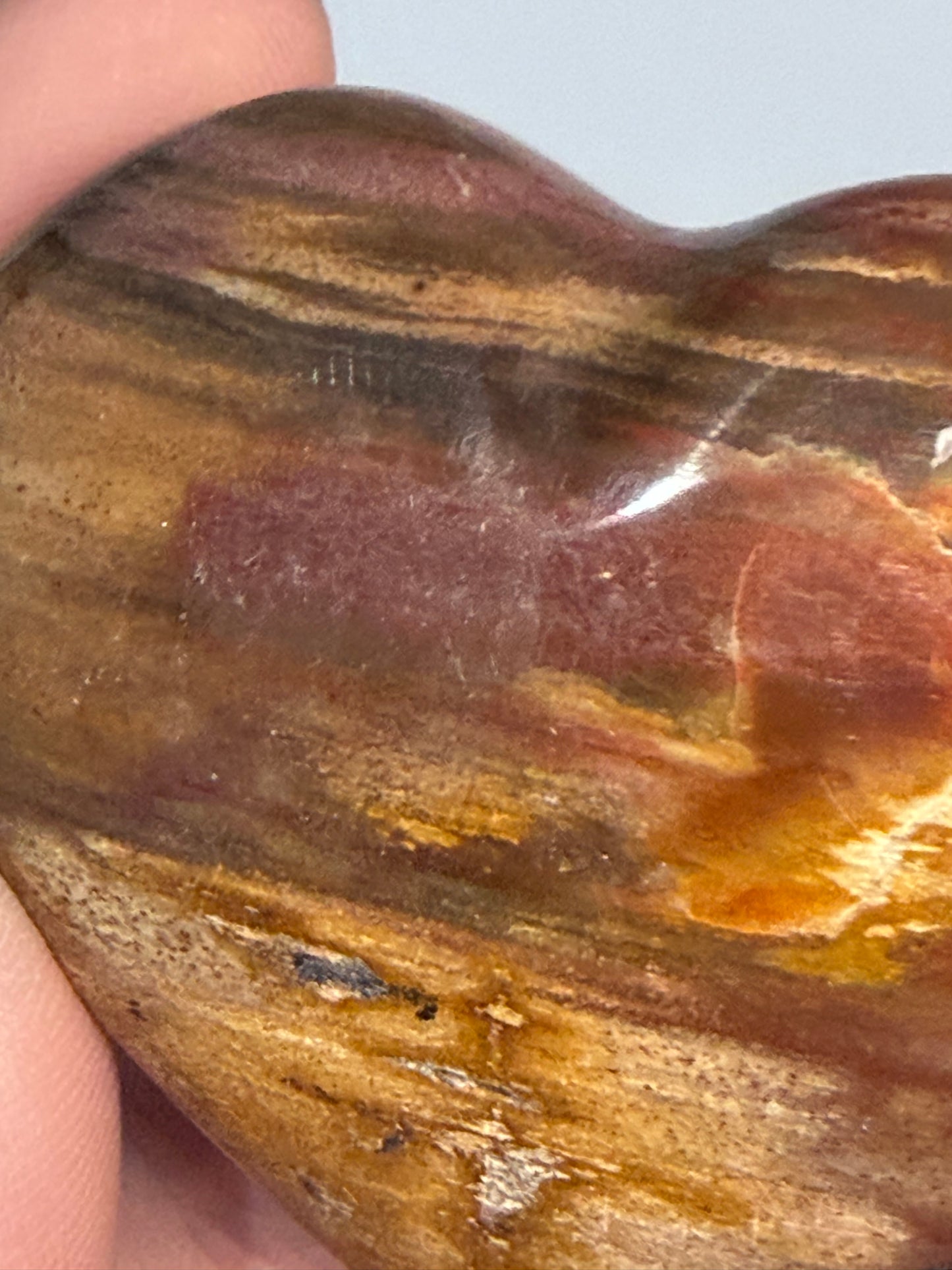 Petrified Wood Heart 🤎 C