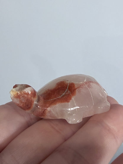 Brown Banded Calcite Turtle Family Carving – Set of 6