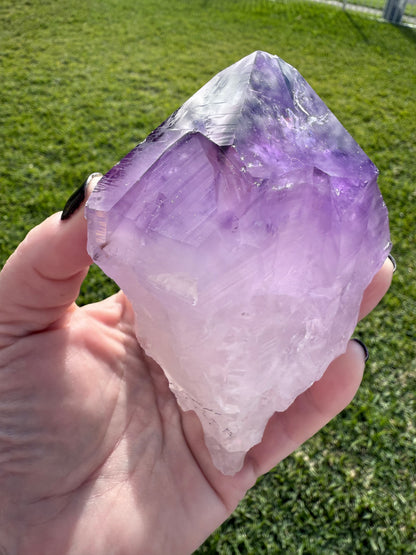 Amethyst Tooth with Custom made stand