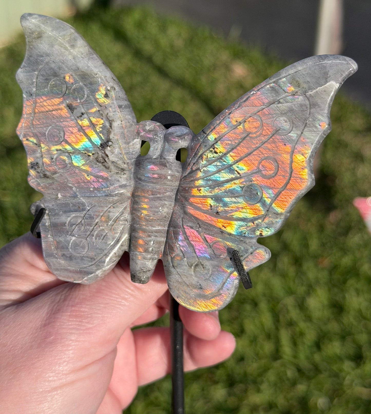 Labradorite Butterfly Crystal Display on Stand – 18 cm