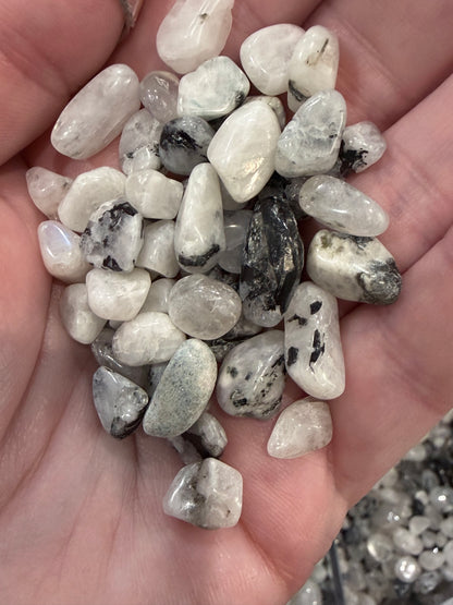 Rainbow Moonstone crystal chips
 – 50g Bag