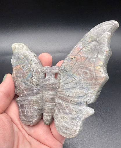 Rainbow Labradorite Butterfly on Stand