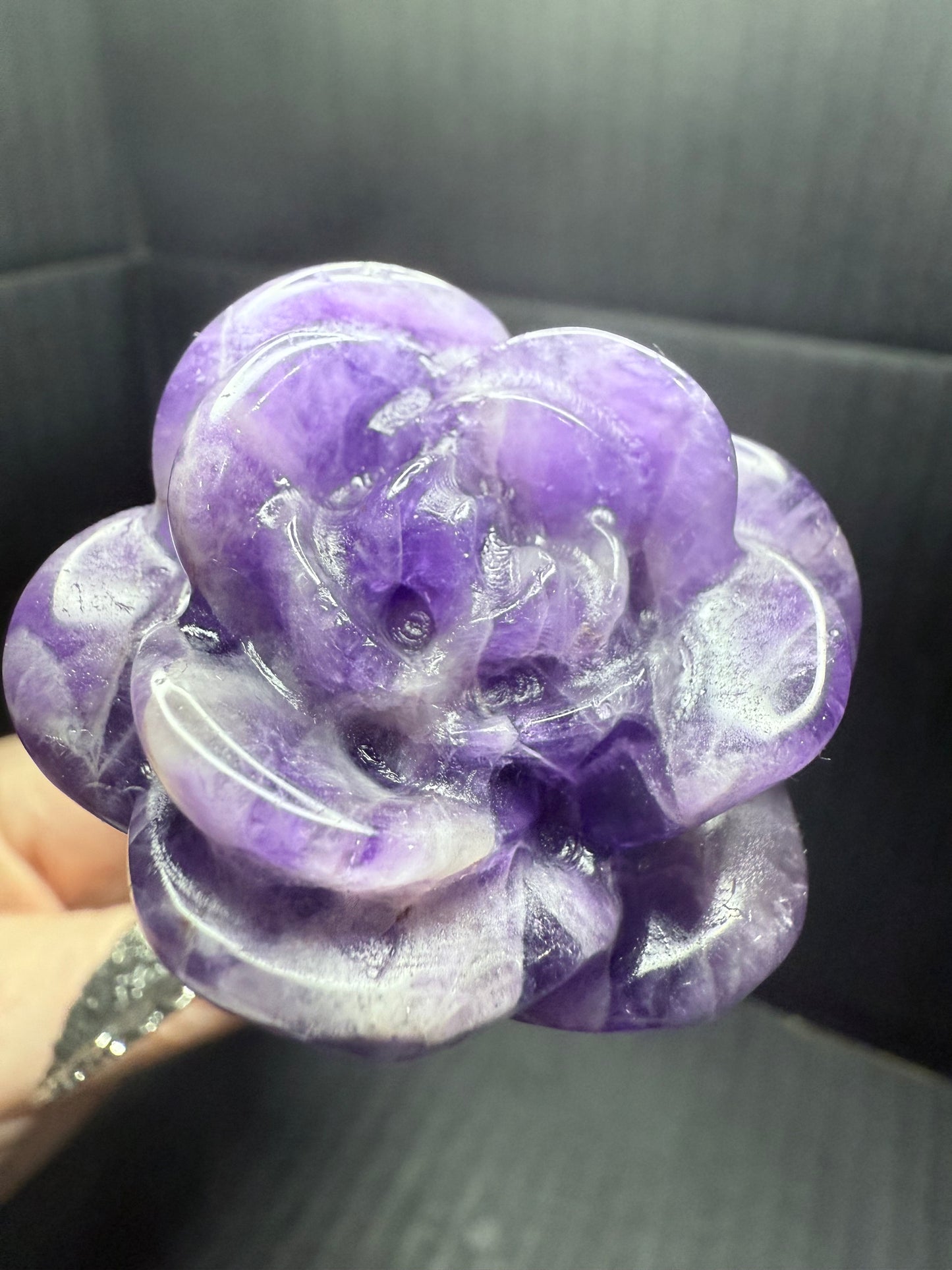 Dream Amethyst long stem Rose