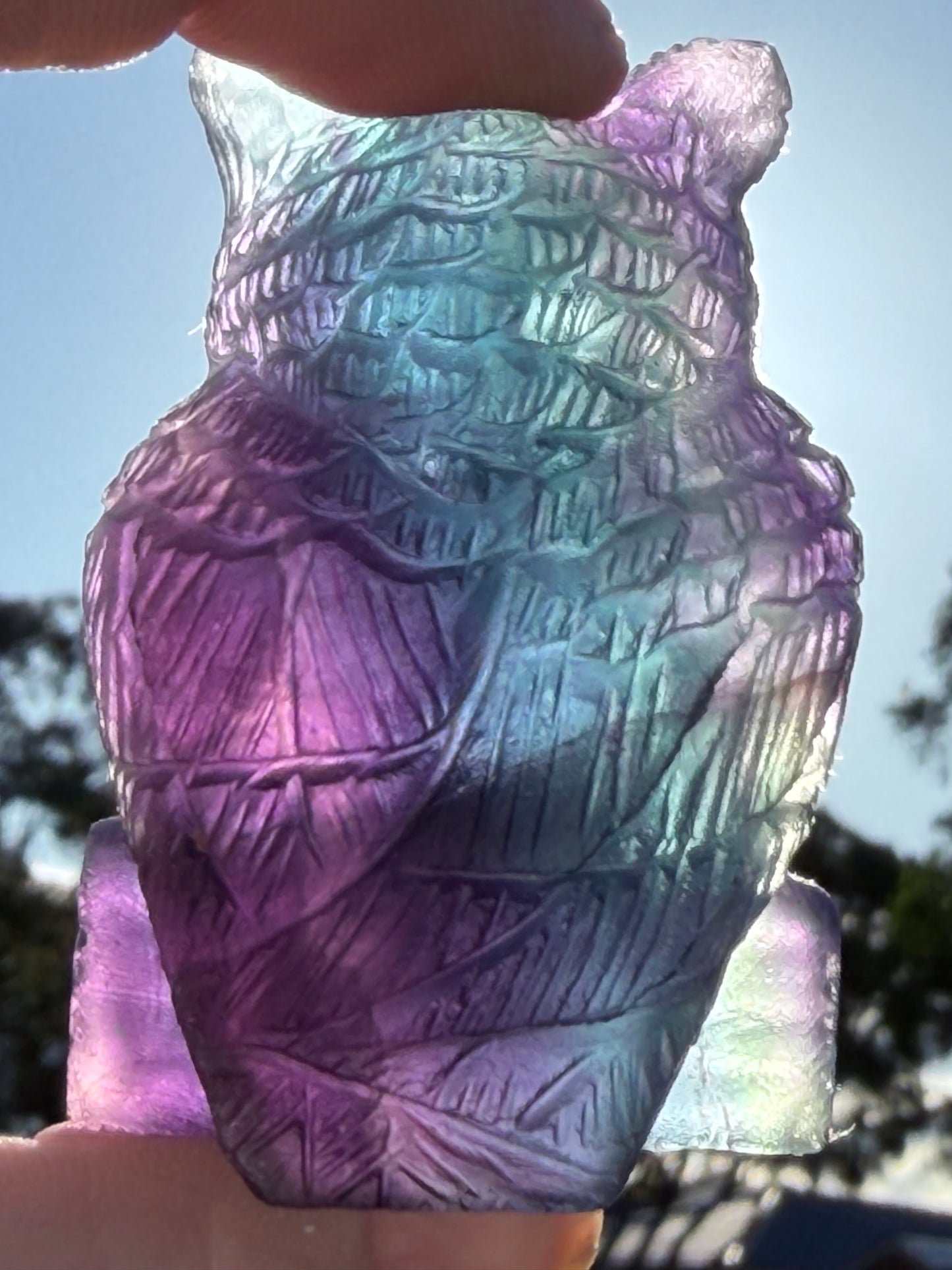 Rare Blue & Pink Rainbow Fluorite Owl Carving – 5.1cm
