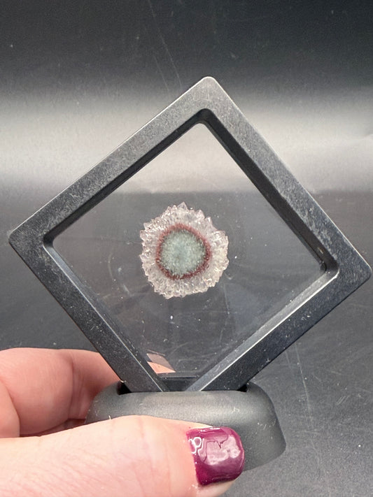 Amethyst Stalactite Slice in Floating Display Frame Slice Size: approx. 2.5cm - Crystal wonderland By Lisa