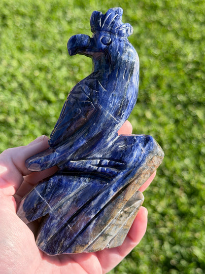 Sodalite Parrot Carving – 400g
