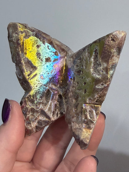 🌈 Aura Sphalerite Druzy Butterfly Carving E