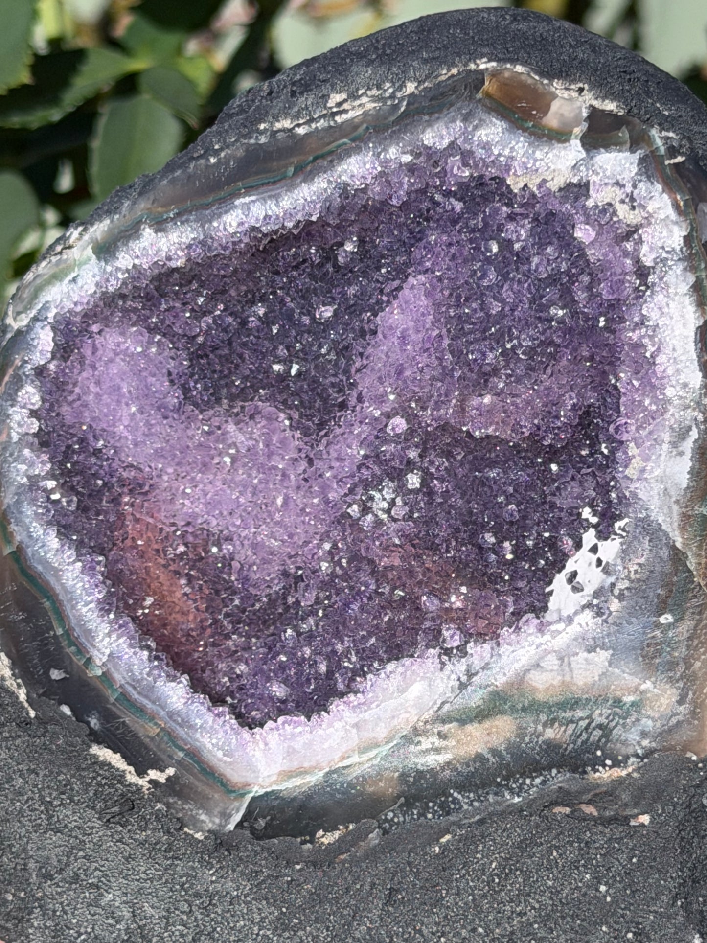 Brazilian Amethyst Druzy Cave Geode – 954g F