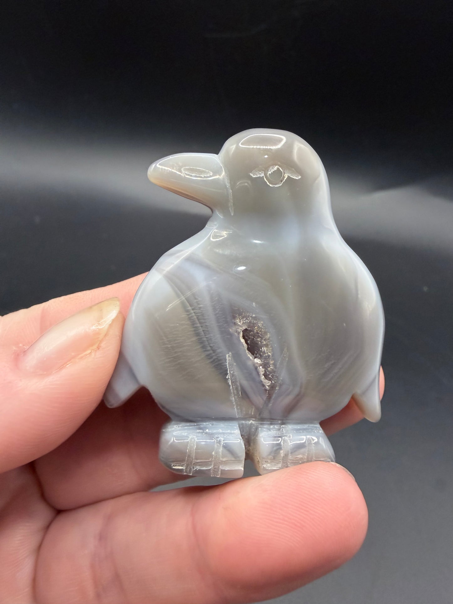 Grey Agate Penguin with Druzy Pocket