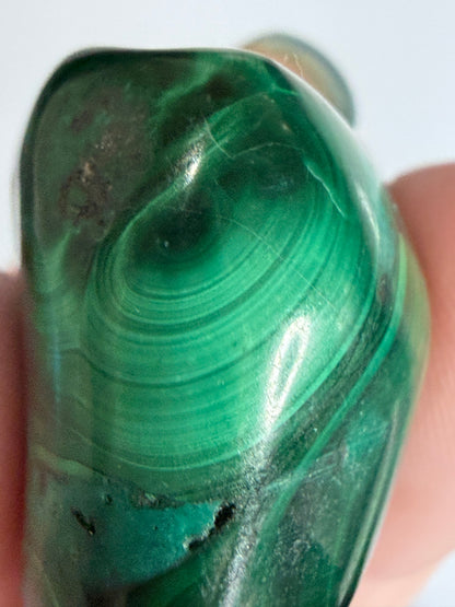 Malachite Polished Tumble – Natural Banded & Orbicular D -