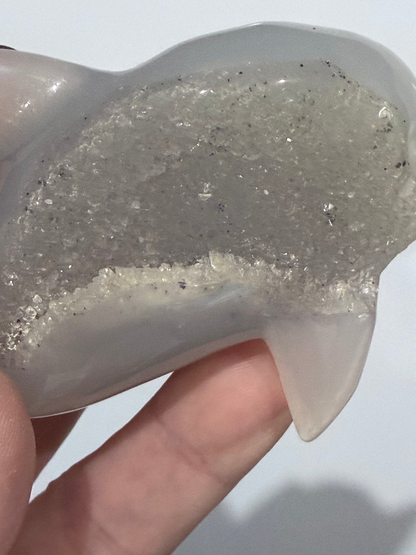 Agate Dolphin with Natural Druzy