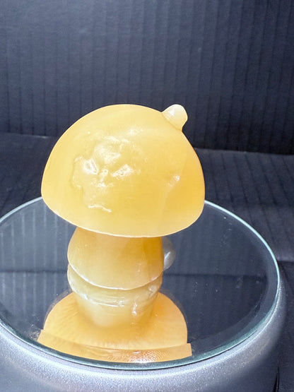 Calcite Fairy House Mushroom