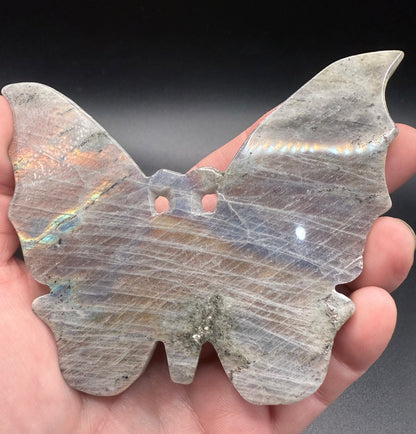 Rainbow Labradorite Butterfly on Stand