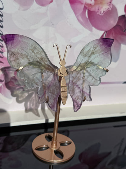 Beautiful Green and Purple Fluorite Butterfly