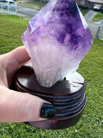 Amethyst Tooth with Custom made stand