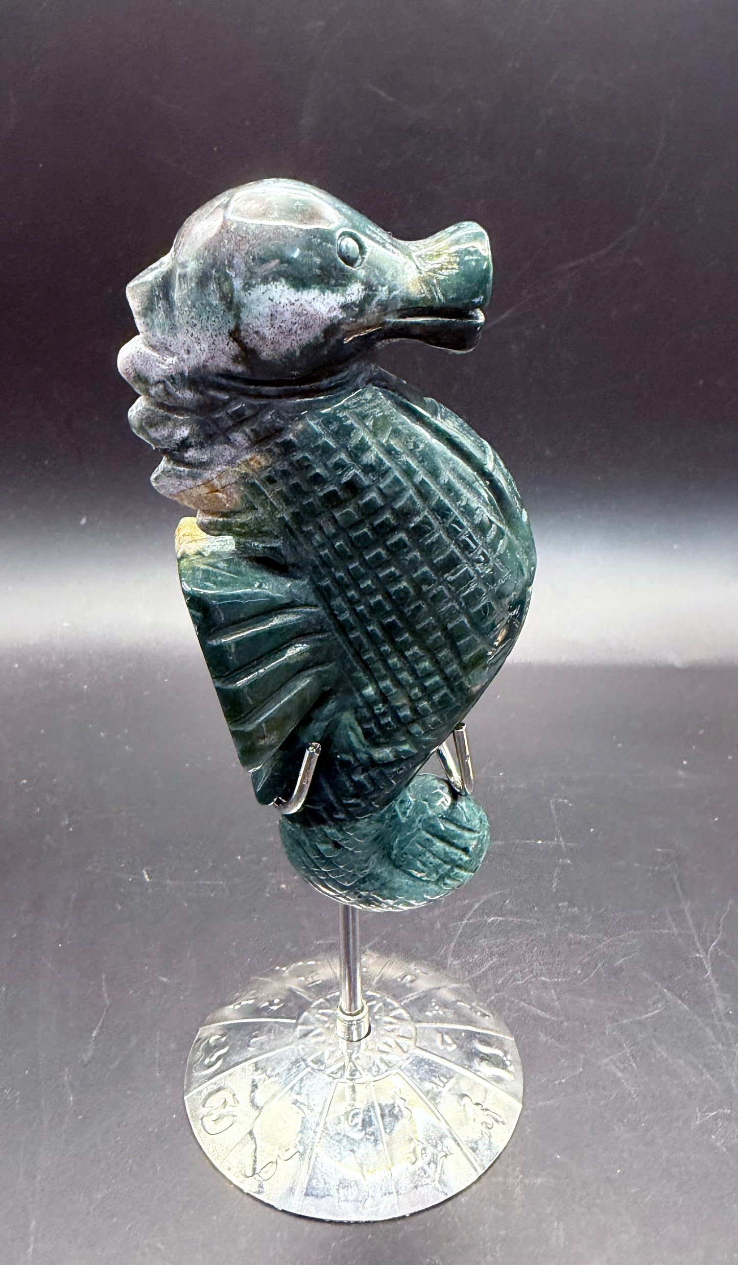 Ocean Jasper Seahorse on Silver Zodiac Stand 17cm on stand