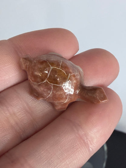 Brown Banded Calcite Turtle Family Carving – Set of 6