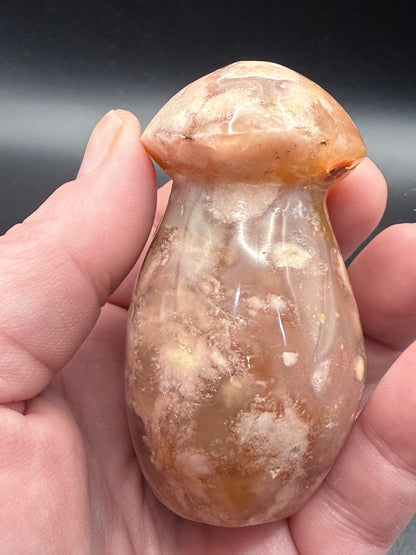 Sakura Flower Agate Mushrooms