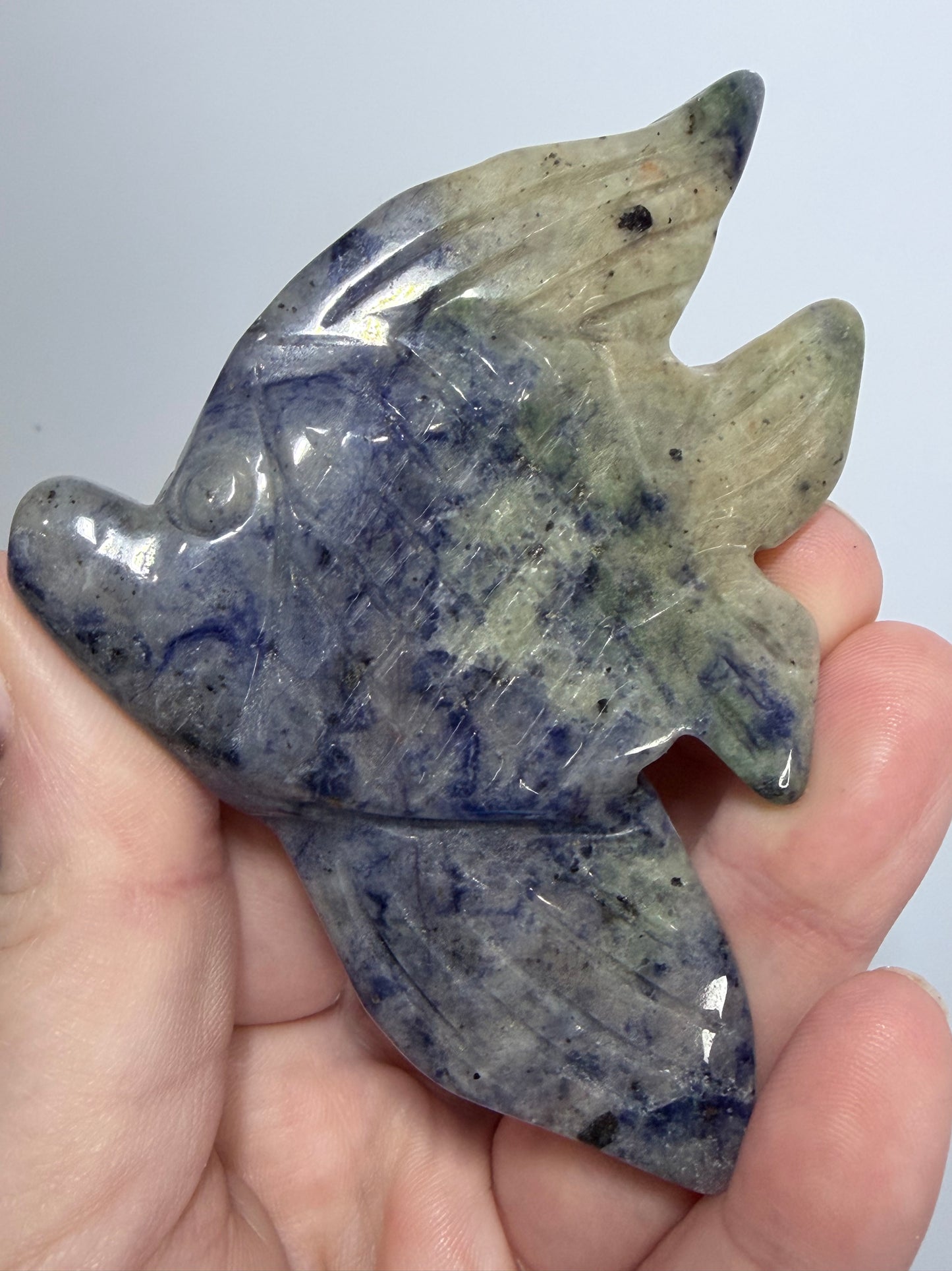 Sodalite Fish Carving with Display Stand | 70g | 9 x 6.5cm